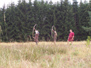 Bogenschie�en-2